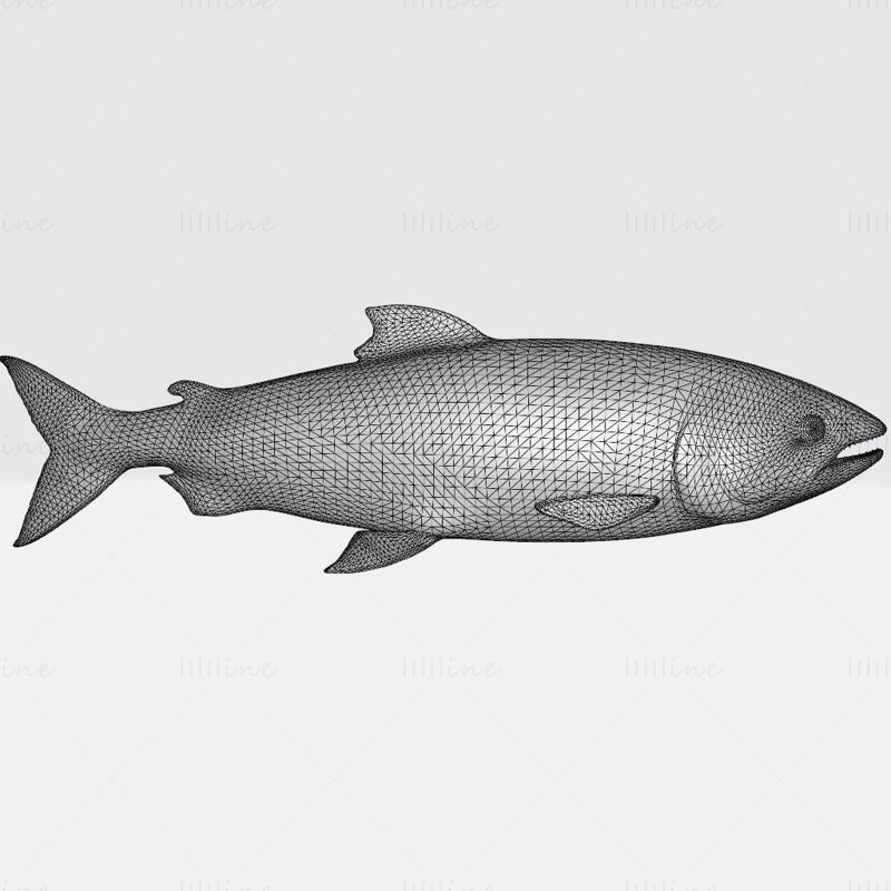 Lachsfisch-Tier-3D-Druckmodell