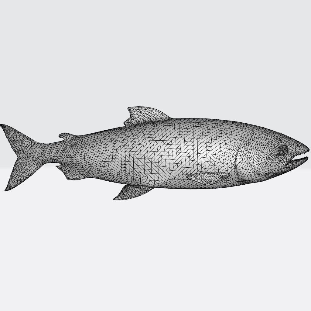 Salmon Fish Animal 3D Printing Model