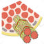 Sarcomere and sarcoplasmic reticulum vector