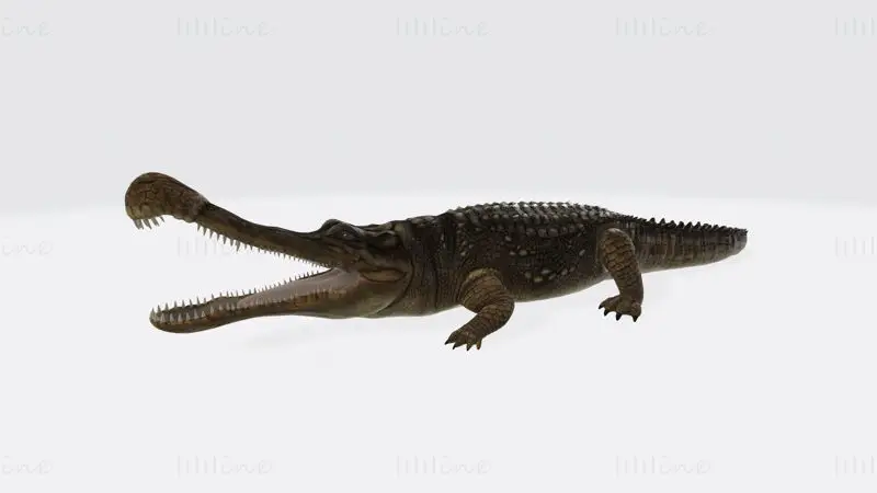 Sarcosuchus 3D-utskriftsmodell