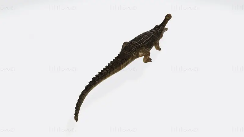 Sarcosuchus 3D Print Model