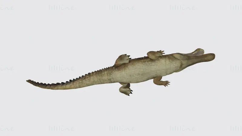 Sarcosuchus 3D-utskriftsmodell