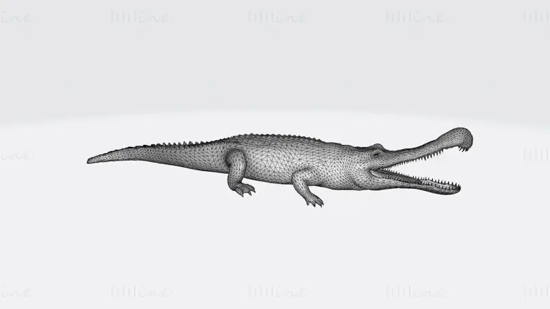 Sarcosuchus 3D-utskriftsmodell