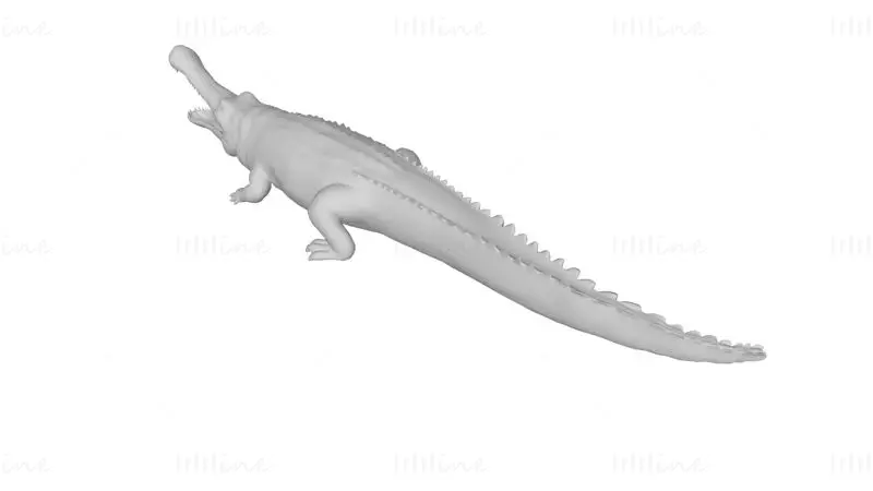 Sarcosuchus 3D Print Model