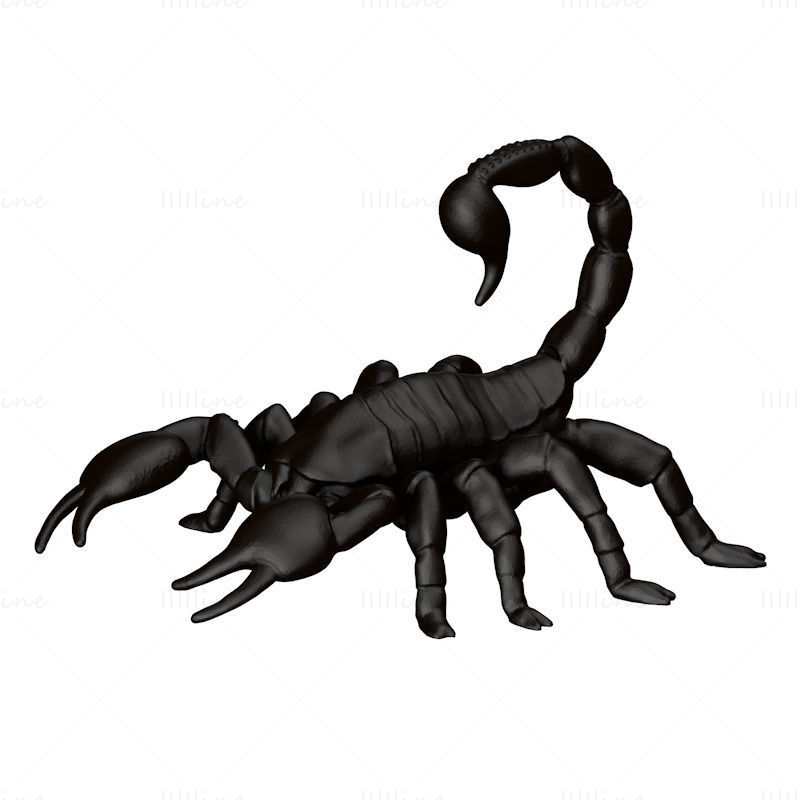 Scorpion 3d printing model