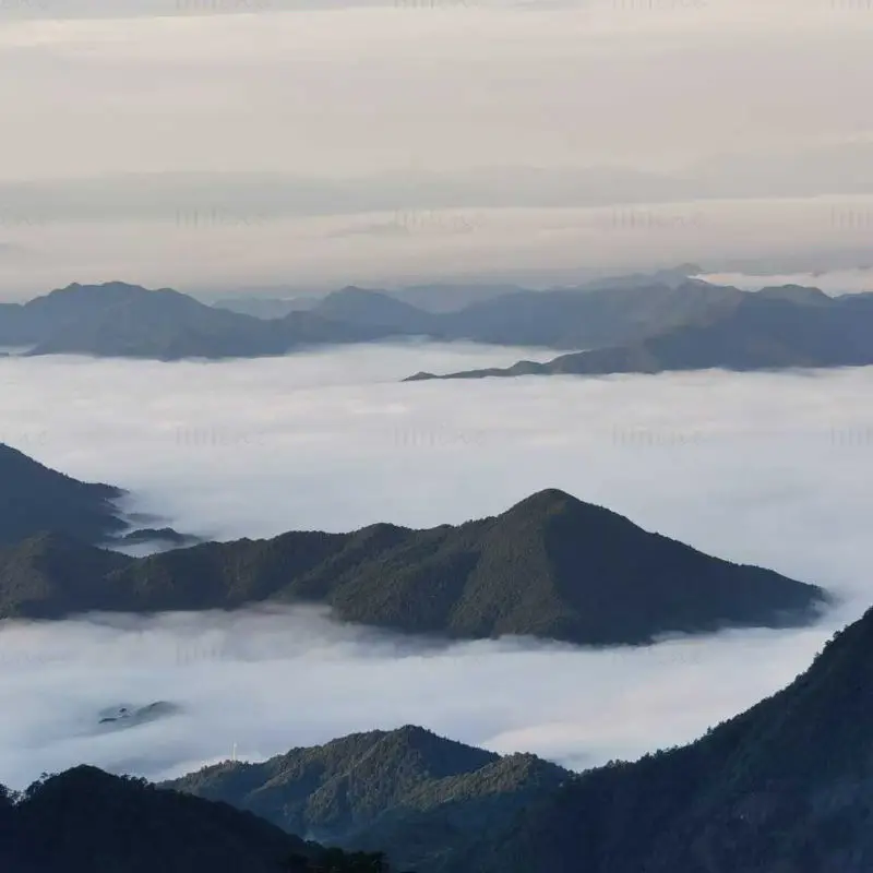Sea of ​​Clouds Photo