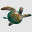 Sea turtle bottom view transparent png