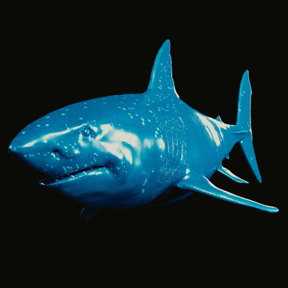 Shark 3d printing model STL