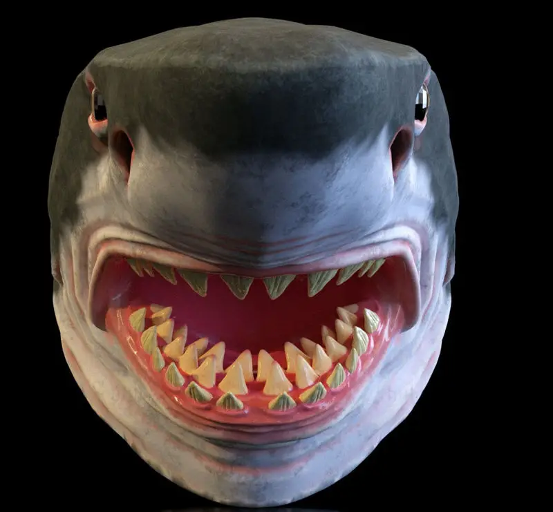 SHARK MASK 3D PRINTING MODEL STL