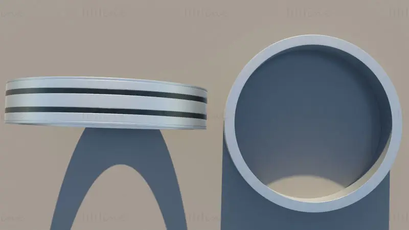 Silver Ring 3D Model