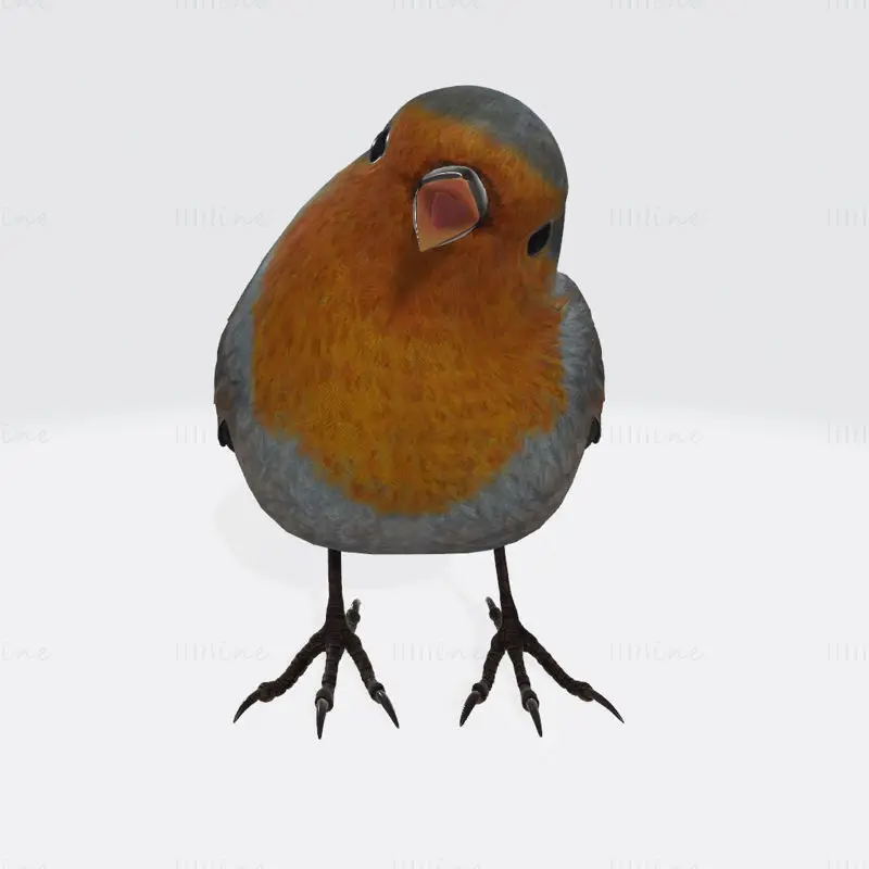 唱歌的知更鸟3D打印模型