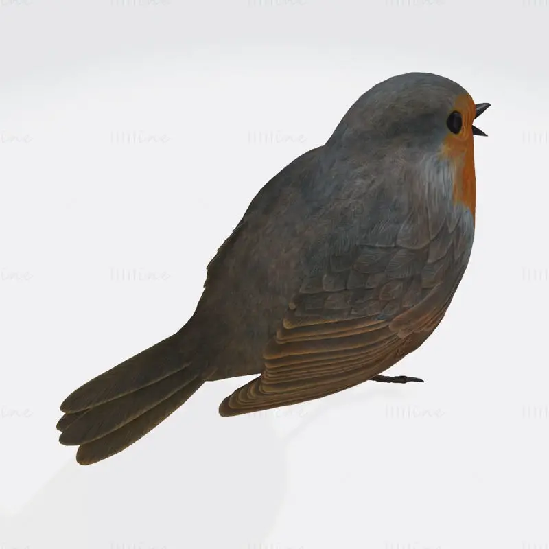 Syngende Robin 3D-utskriftsmodell