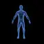 "Skeleton Structure: A Detailed Human Anatomy Medical Illustration"
