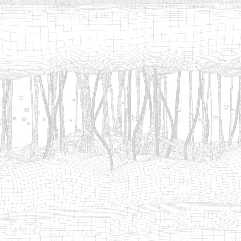 Sección transversal de la estructura de la piel Modelo 3D C4D STL OBJ 3DS