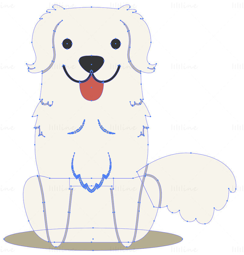 Slovak Cuvac Dog Vector