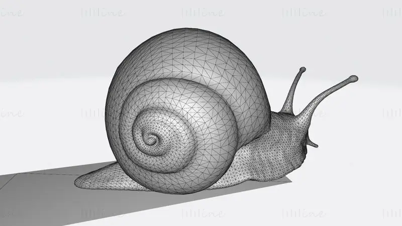 Sluggish Snail 3D Print Model