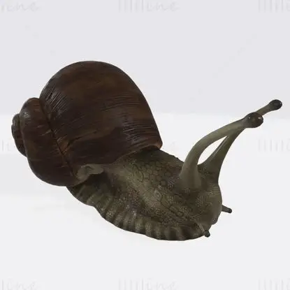 Sluggish Snail 3D Print Model