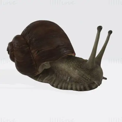 蜗牛雕塑 3D 打印模型
