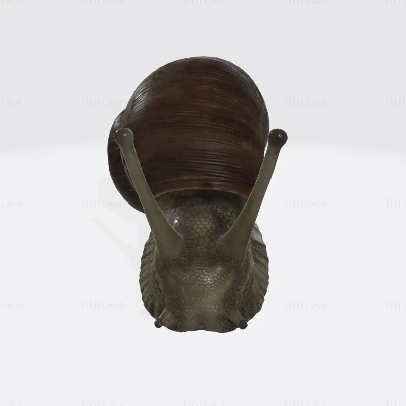 Modelo de impressão 3D de escultura de caracol