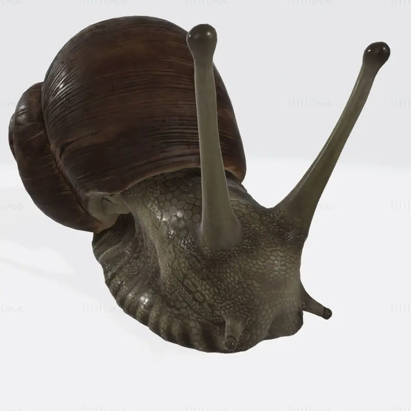 カタツムリの彫刻 3D プリントモデル