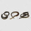 Snakes png