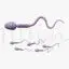 Sperm cell medical illustration