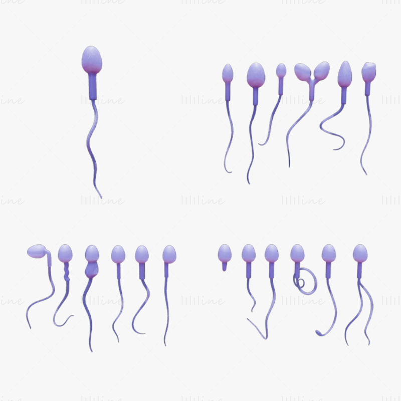 Modelo 3D de morfología del esperma: normal y anormal