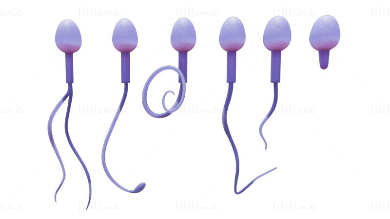 Modelo 3D de morfologia do esperma: normal e anormal