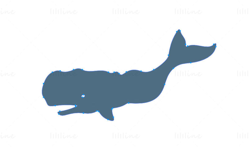İspermeçet balinası vektör simgesi logosu