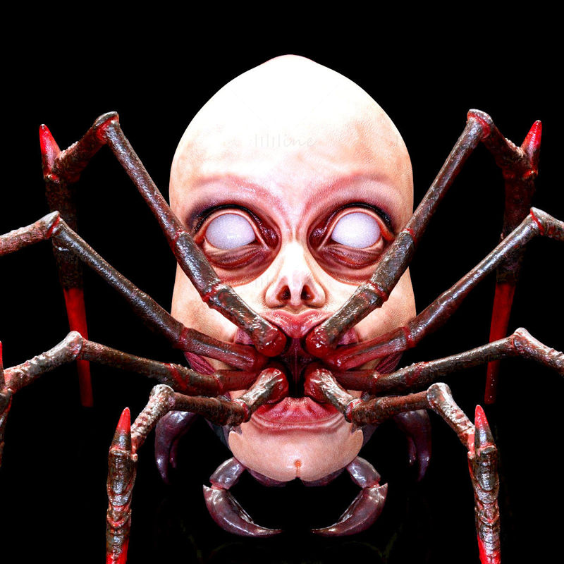 人間の顔を持つクモ 3D プリント モデル STL