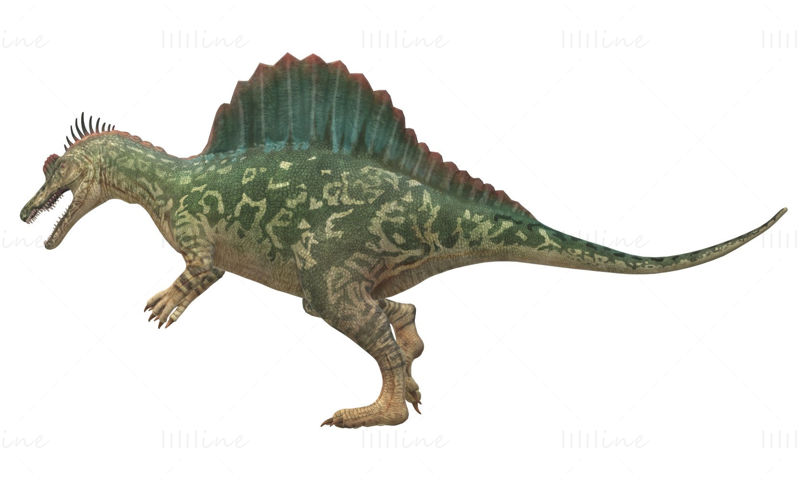Spinosaurus Dinosaur 3D Model Ready to Print