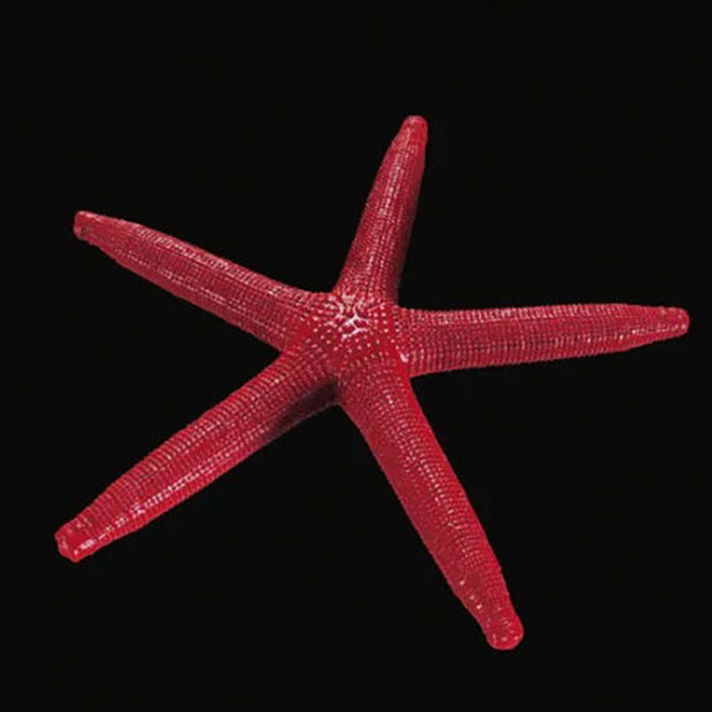 3D tiskový model hvězdice