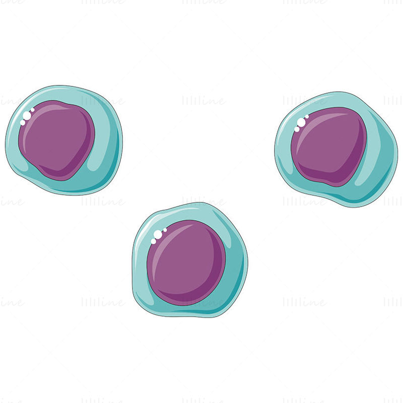 Stamcellen vector wetenschappelijke illustratie