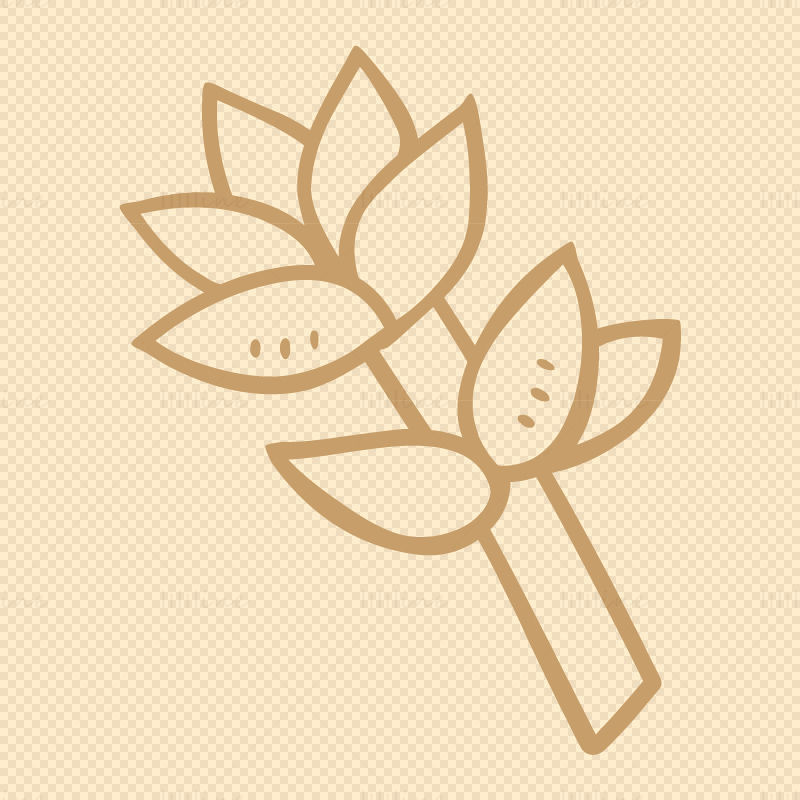 Succulents vector icon