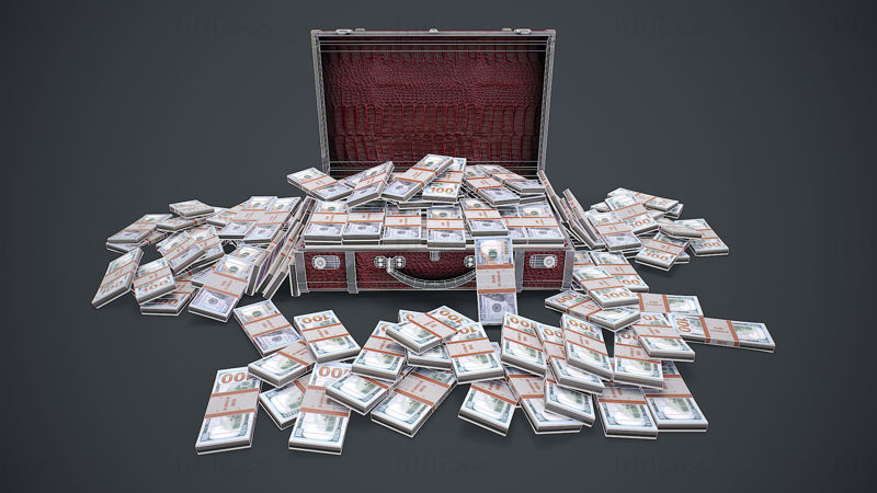 Koffer met geld 3D-model