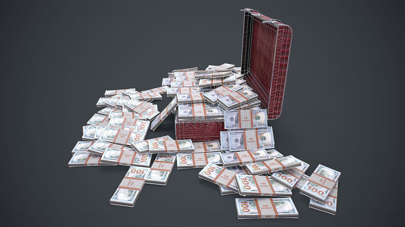 Чемодан с деньгами 3D модель