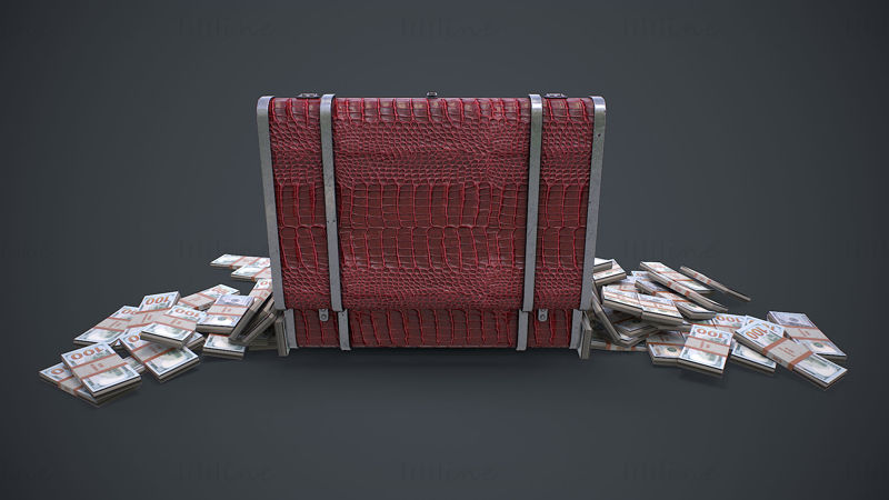 お金が入ったスーツケース3Dモデル