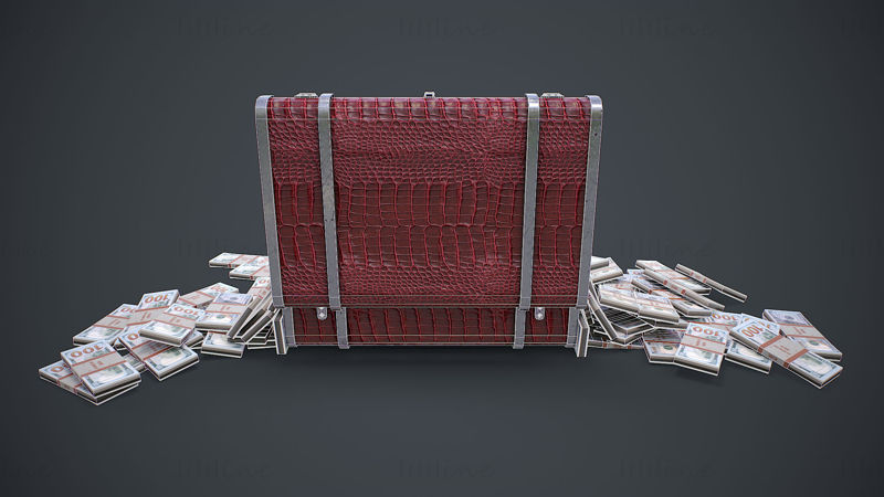 Koffer met geld 3D-model