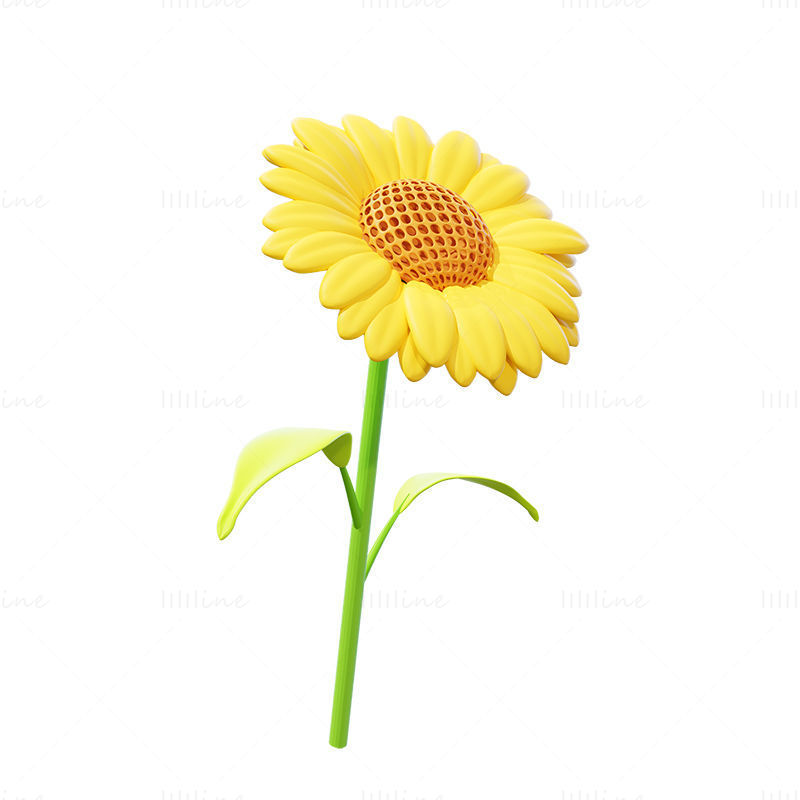 Sunflower 3D Model and png