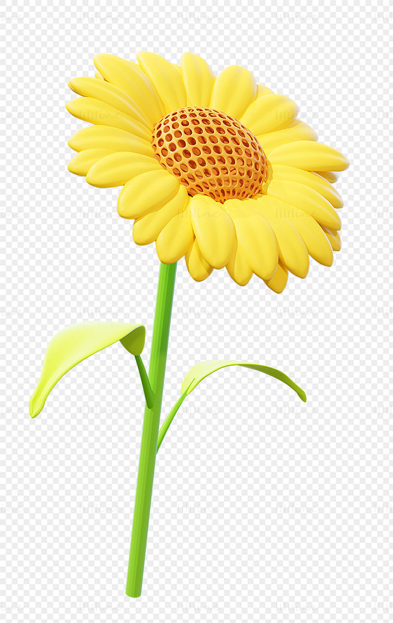 Sunflower 3D Model and png