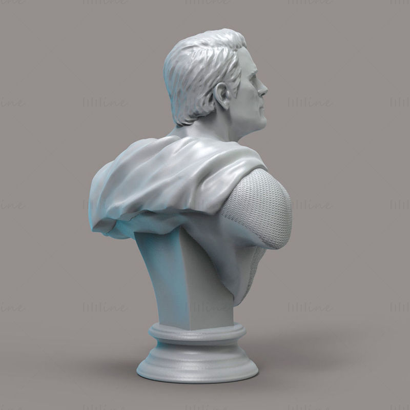 Busto de Superman Modelo de impresión 3D STL