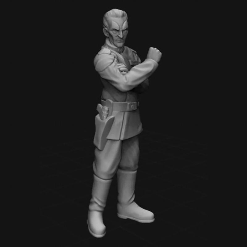 The Cunning Admiral 3D Printing Model STL