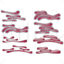The Endoplasmic Reticulum vector