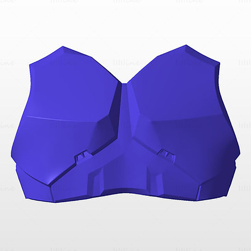 Flash Tam Vücut Zırhı Kıyafeti Giyilebilir 3D Baskı Modeli STL