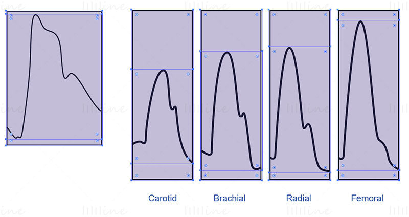 La ilustración de vector de pulso arterial normal