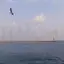 Photo de la mer et des oiseaux de mer en vol libre