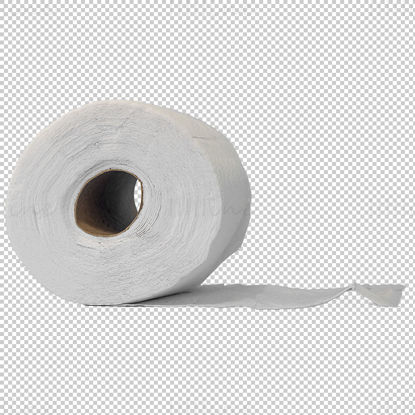 Toilet paper towel png