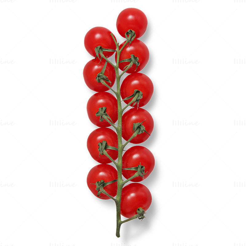 Tomato branch png