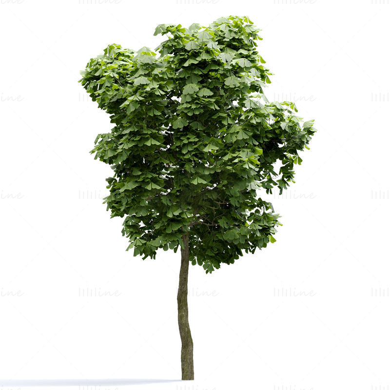 مدل سه بعدی درختی