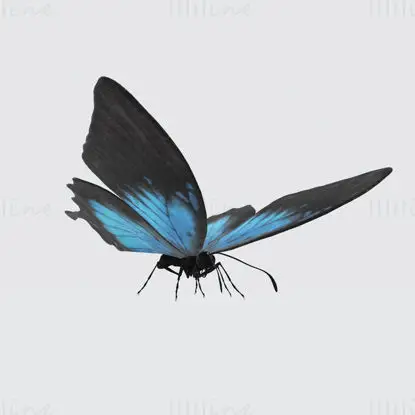 Modelo de impressão 3D da borboleta Ulisses